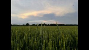 Распахну свое сердце настежь (Красивое стихотворение - автор А.Мышкин)