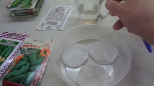ЗАМАЧИВАЮ СЕМЕНА ОГУРЦОВ ДЛЯ ПОЛУЧЕНИЯ РАННЕГО УРОЖАЯ. Ольга Чернова.