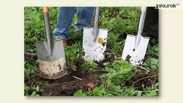 Приборы, которые помогают изучать окружающий мир | Окружающий мир 2 класс #11 | Инфоурок