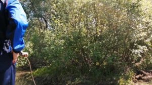 Поехали_на_рыбалку,_а_получилось......