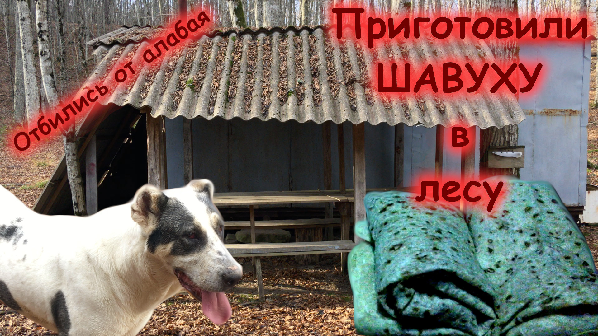 Шаурма в лесу (18-20.11.22)