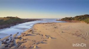 О БЕССМЕРТИИ И МАТЕРИАЛЬНОСТИ ДУШИ.. УЧЕНИЕ СВЯЩЕННОГО ПИСАНИЯ (1899 г.)