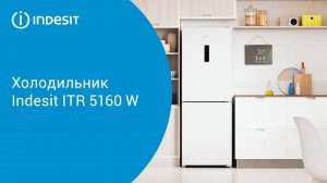 Холодильник Indesit ITR 5160 W - обзор модели