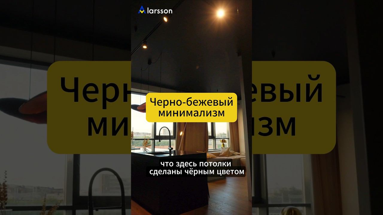 Черно-бежевый минимализм в квартире-апартаментах 62кв.м.