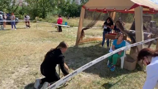 пенза 09,08,2020