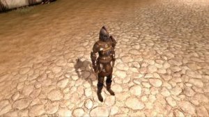 Dragon Age: Origins - Helm of Honnleath Pious Armor Retint