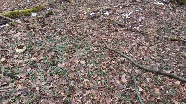 Одиночная катка! Квадроодиночка! Устроил себе реальный спорт! BRP XMR 650 смотреть онлайн