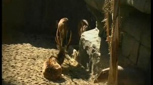 Андалусия Испания Путешествия натуралиста