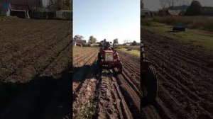 Копка картофеля на Т-25