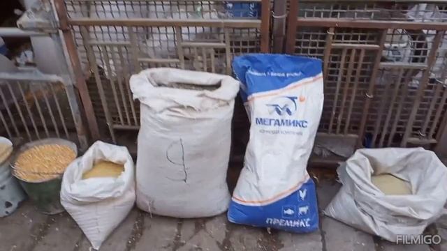 рецепт корма для бройлеров своими руками с привесом ? грамм в сутки смотреть онлайн