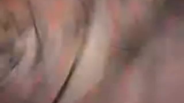 обзор на мой зонт смотреть онлайн