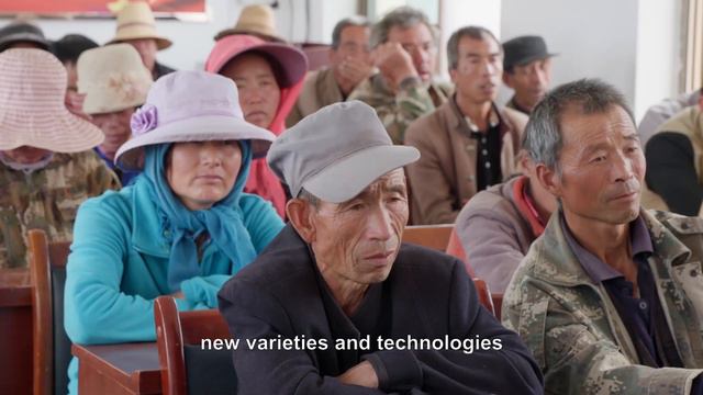 China: Productivy & Rural development смотреть онлайн