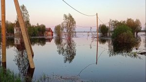 ПАВОДОК. ОБЬ ВЫШЛА ИЗ БЕРЕГОВ!
