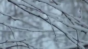 Русский Ангел 1 часть