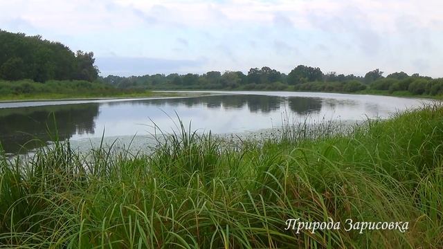 КРАСИВАЯ ПРИРОДА И ПРИРОДНЫЙ ПЕЙЗАЖ с Видом на Реку и Нежной Музыкой