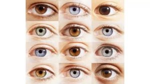 Шокирующие факты о глазах. Факты о зрении, о которых вы не знали!