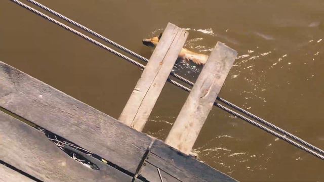 Конный поход в Аргуново | Конный лагерь смотреть онлайн