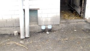 Погреб, чистка вентиляционных труб