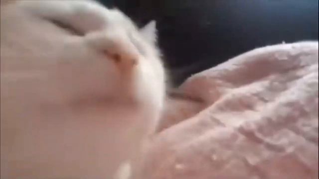 Мои неловкие ситуации 🥴 | пробный выпуск #рекомендации #неловкиеситуации