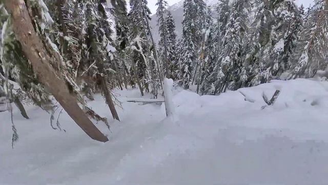 Домбай фрирайд в лесной зоне смотреть онлайн