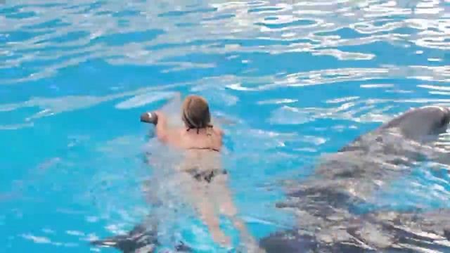 Купание с дельфинами смотреть онлайн