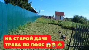 На старой даче трава по пояс