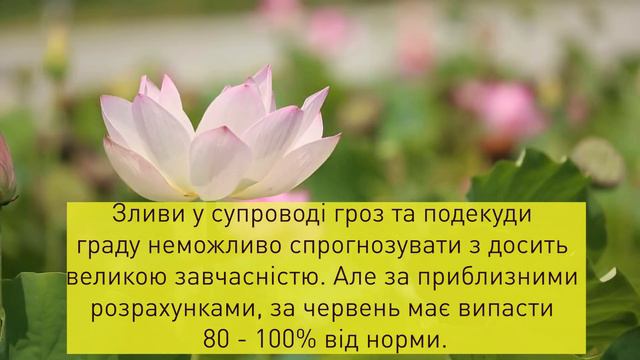 Погода в Украине на июнь! Накроет максимальная жара: предупредили о летней аномалии и назвали сроки смотреть онлайн