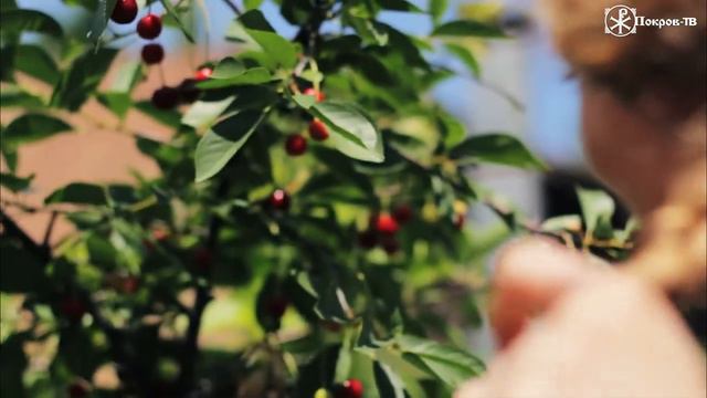 Вечерка уже в пятницу! 14 июня в 18:00 (ВКМРПК, Эллинг) смотреть онлайн