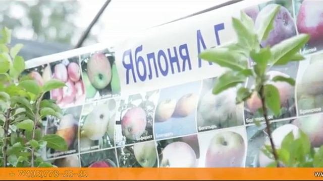 Садовая компания «Садко»