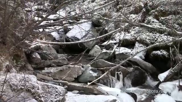 Путешествие на Алтай за козерогом и маралом смотреть онлайн