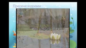 Экологическая беседа "Реки, речки и моря на земле живут не зря"