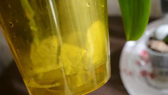 Орхидеи наращивают корни после переукоренения и просто так)) смотреть онлайн