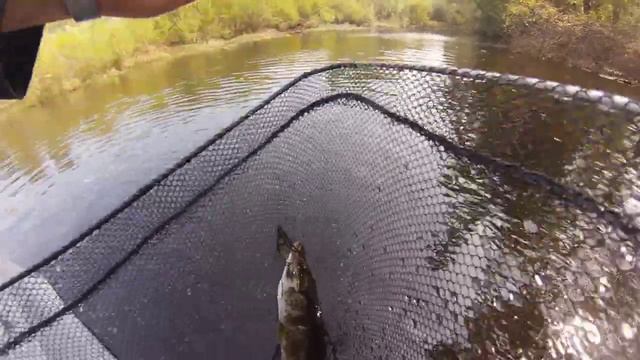 Сплав по реке Матай смотреть онлайн