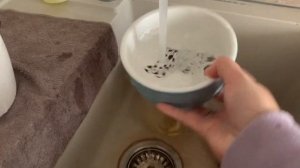 Мопсовлог #1 День с мопсом. Распорядок дня с собакой Готовим капучино с растворимым кофе