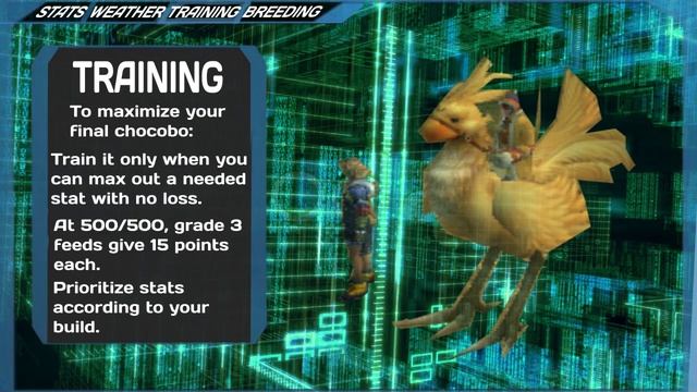 The Complete Beginner's Guide to FFXIV Chocobo Racing (5.55 2021)