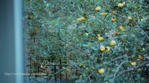 М.О., Красногорский район, с.Николо-Урюпино