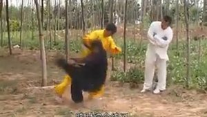 Применение багуачжан или багуачжан юнфа (八卦掌用法).