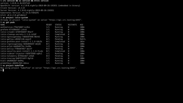 15 - CodeReady Containers - OpenShift 4.2 - Istio, Kubeflow