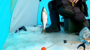 рыбалка на Ладожском озере