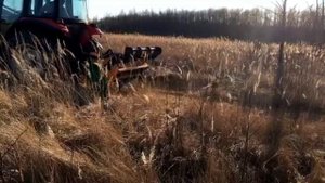 Лучший мульчер для тракторов 40-100 лс. Serrat FX-3. Kioti DK 903. Удаление дерева диаметром 15 см.