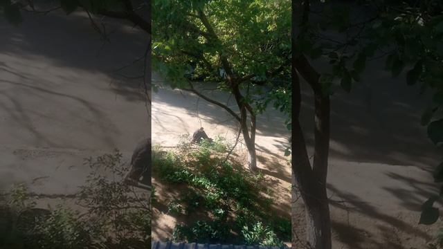 Теть Зин, а Смолов выйдет ?! смотреть онлайн