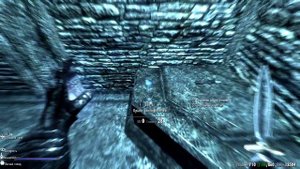Skyrim Банки с насекомыми оптовый склад.