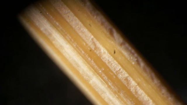 Минерал "Тигровый глаз" и строение зубочистки смотреть онлайн