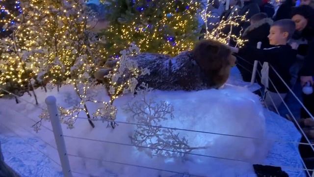 Новогодняя ёлка в Беларуси, Дана Молл 2023/2024 (Christmas tree in Belarus, Dana Mall) смотреть онлайн