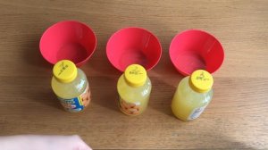 Яйца в бутылке - как хранить, как взбивать, как использовать пастеризованные белки