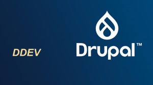 Пошаговая настройка локальной разработки на Drupal с DDEV