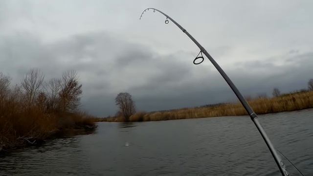 Щука в ноябре на спиннинг или Draga 130 SP вне конкуренции смотреть онлайн