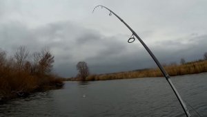 Щука в ноябре на спиннинг или Draga 130 SP вне конкуренции