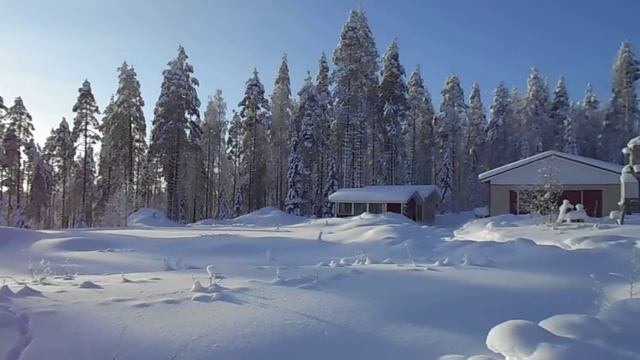 DSCN2662 Зима в Переделкино 2 смотреть онлайн