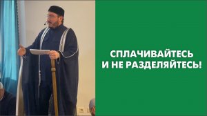 Сплачивайтесь и не разделяйтесь!